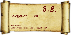 Bergauer Elek névjegykártya