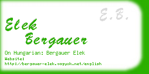 elek bergauer business card